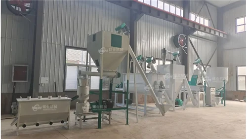 Wood Pellet Production Line: How to Choose the Right Setup According to Raw M...