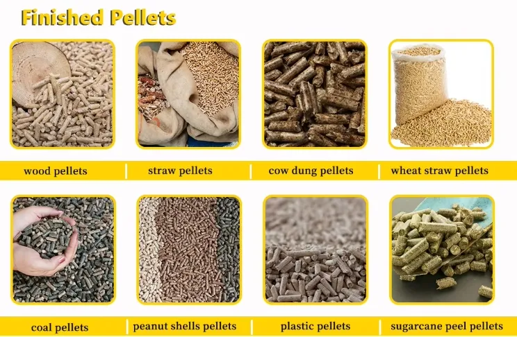 20251224150146 20251224150146