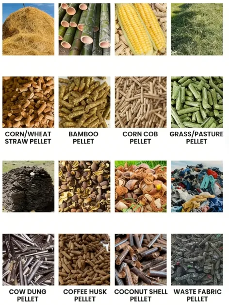 20260106113716 20260106113716