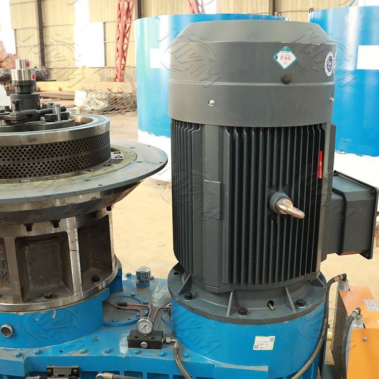 Ring Die Wood Biomass Sawdust Straw Pelletize Fuel Pellet Making Machine For Farm Use suppliers